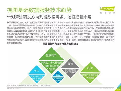 中國(guó)人工智能基礎(chǔ)數(shù)據(jù)服務(wù)行業(yè)深度洞察 助力人工智能軟件開發(fā)基石