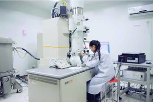 選對大學專業 中國材料科學與計算機工程強校對比，浙大與交大如何抉擇